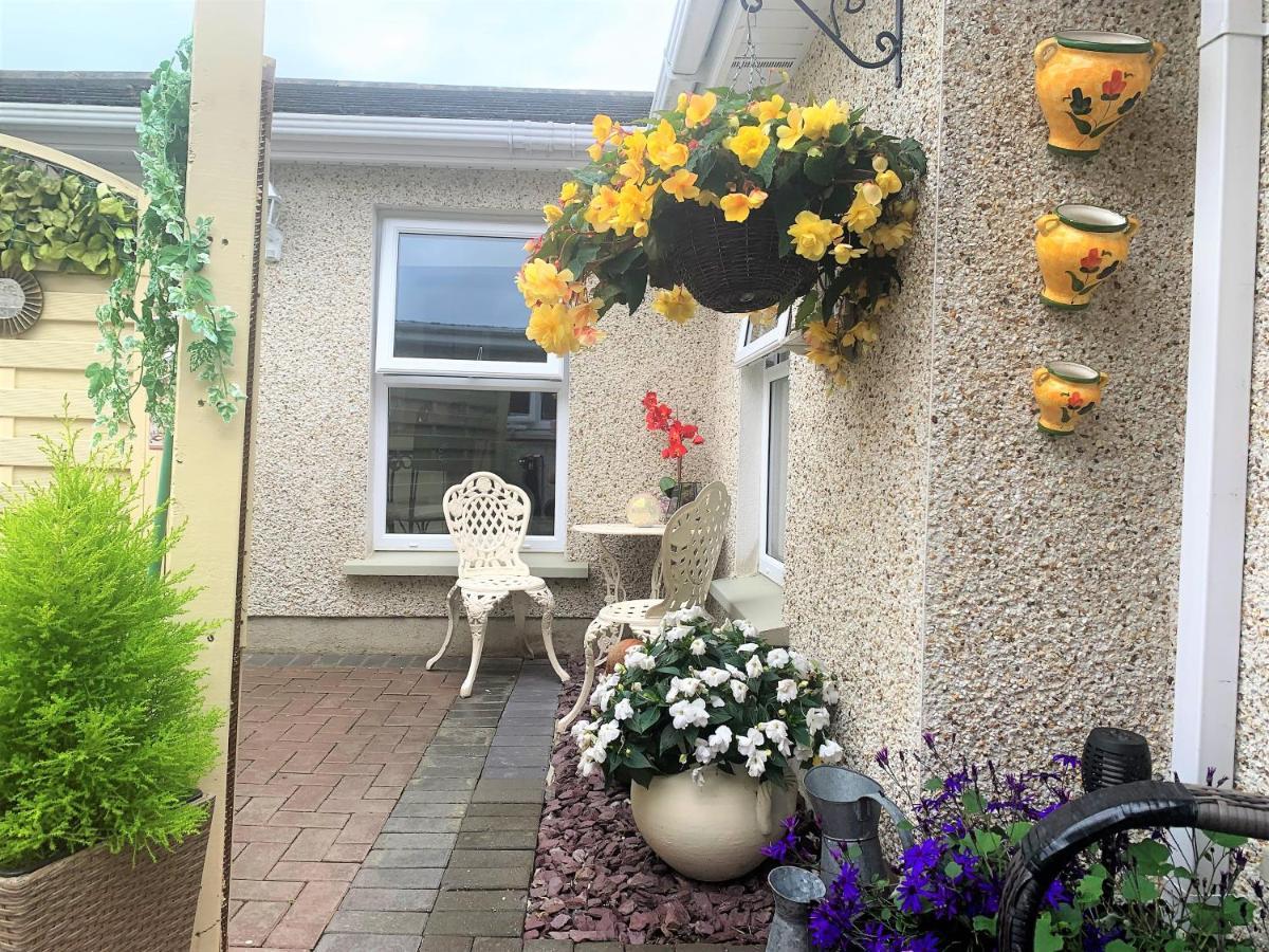 Naas 2 Bedroom Back Garden Escape Bagian luar foto